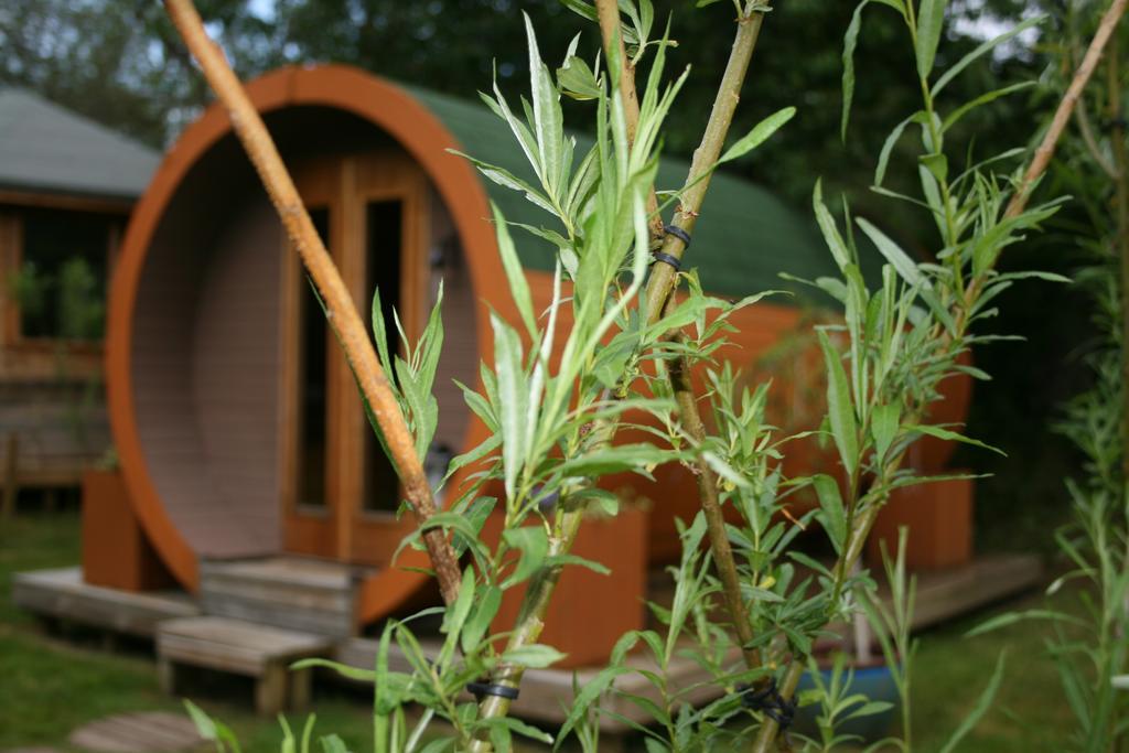 Bcc Lochness Pods Campsite 2*